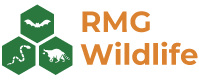 wildlife removal specialist in Milton