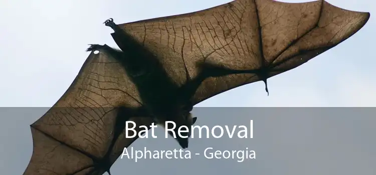 Bat Removal Alpharetta - Georgia