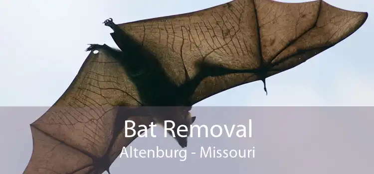 Bat Removal Altenburg - Missouri