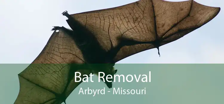 Bat Removal Arbyrd - Missouri