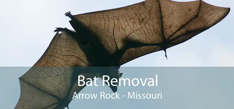 Bat Removal Arrow Rock - Missouri