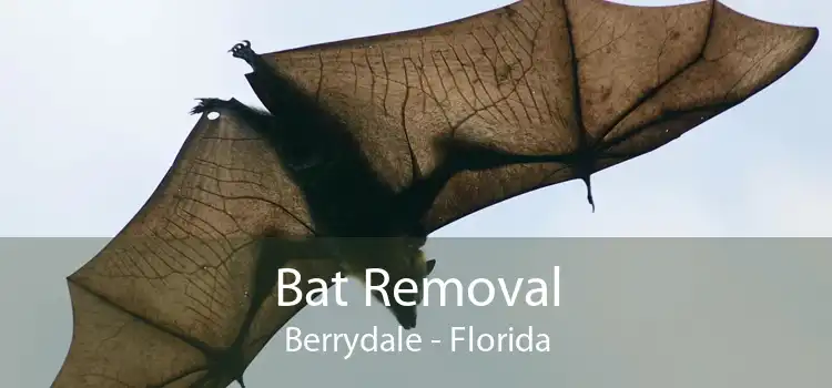 Bat Removal Berrydale - Florida