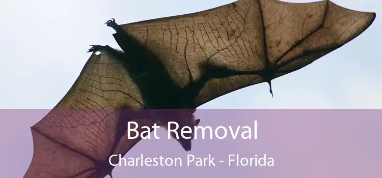 Bat Removal Charleston Park - Florida