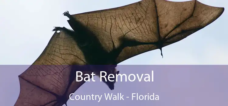 Bat Removal Country Walk - Florida