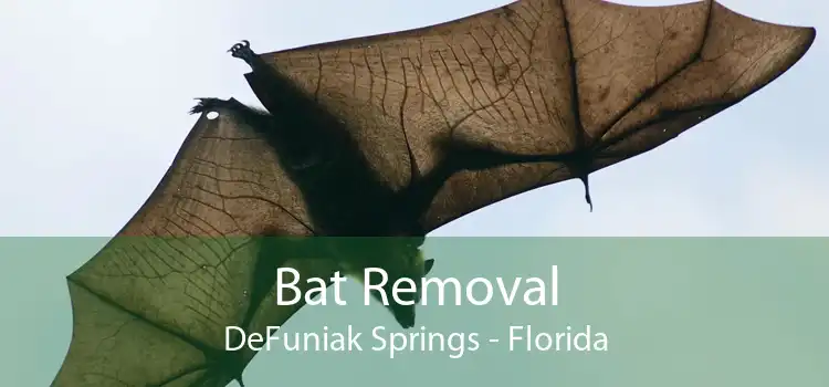 Bat Removal DeFuniak Springs - Florida