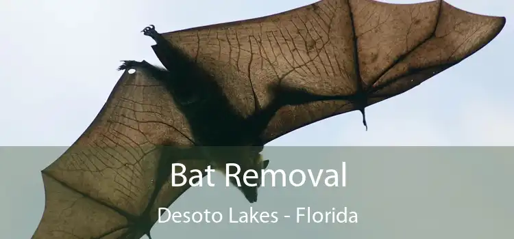 Bat Removal Desoto Lakes - Florida