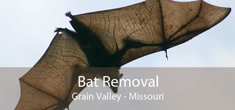 Bat Removal Grain Valley - Missouri