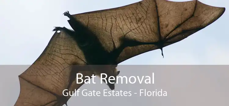 Bat Removal Gulf Gate Estates - Florida