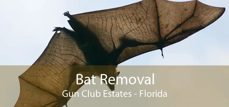 Bat Removal Gun Club Estates - Florida