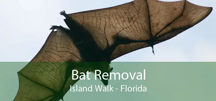 Bat Removal Island Walk - Florida