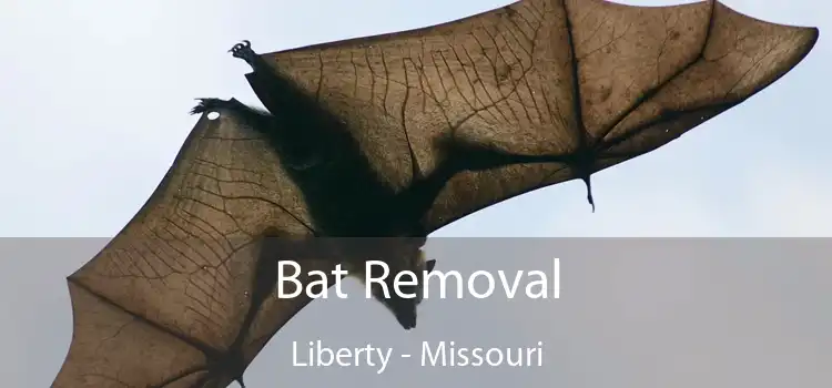 Bat Removal Liberty - Missouri