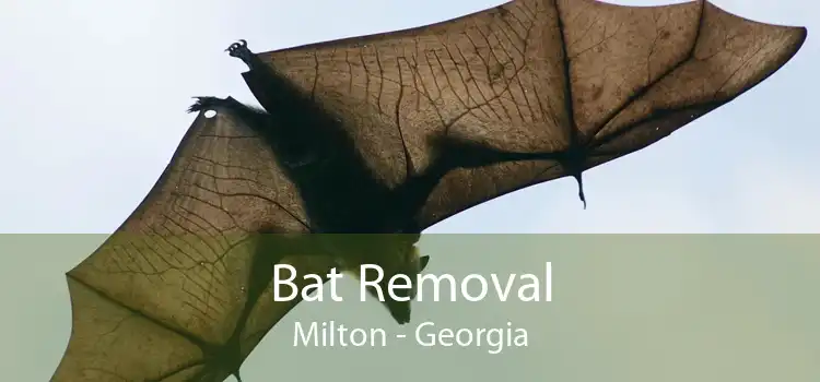 Bat Removal Milton - Georgia