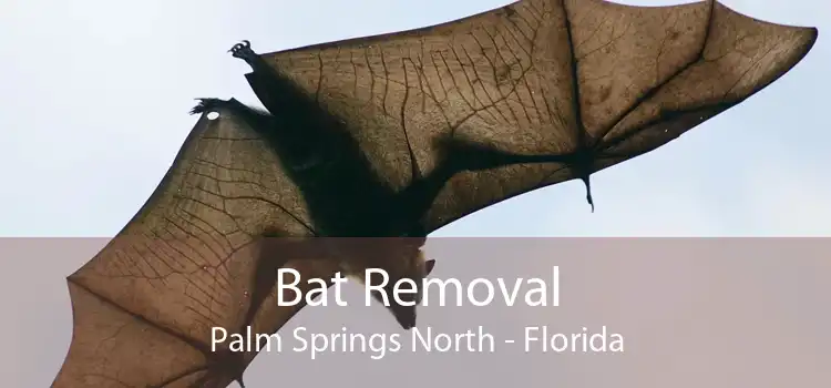 Bat Removal Palm Springs North - Florida