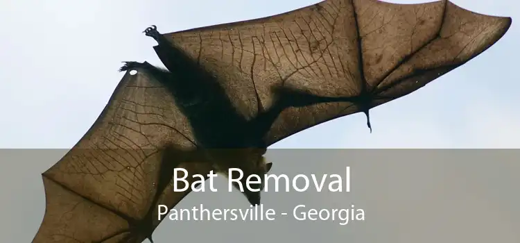 Bat Removal Panthersville - Georgia