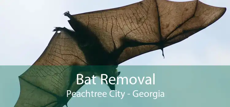 Bat Removal Peachtree City - Georgia