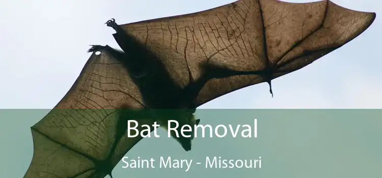 Bat Removal Saint Mary - Missouri