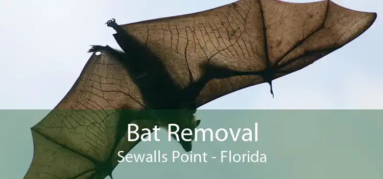Bat Removal Sewalls Point - Florida