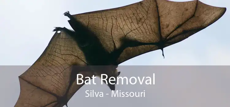 Bat Removal Silva - Missouri