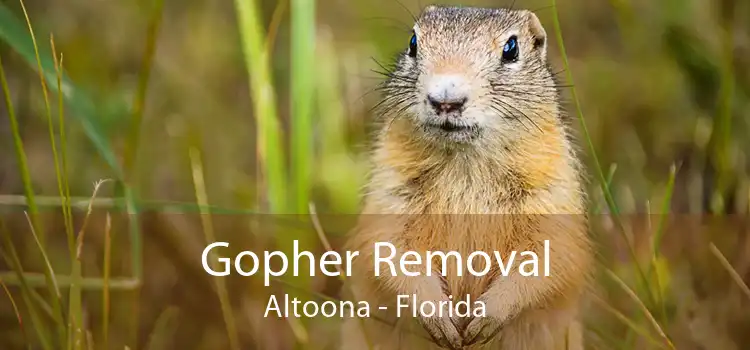 Gopher Removal Altoona - Florida