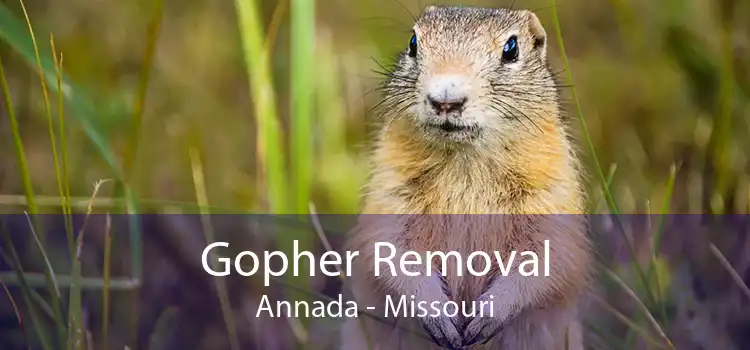 Gopher Removal Annada - Missouri