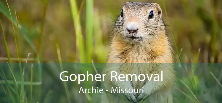 Gopher Removal Archie - Missouri