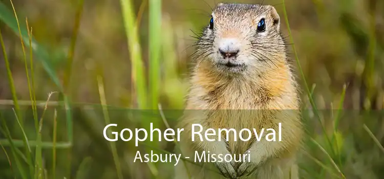 Gopher Removal Asbury - Missouri