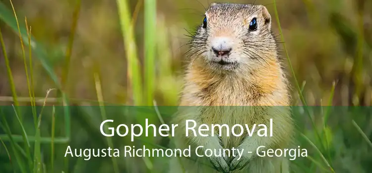 Gopher Removal Augusta Richmond County - Georgia
