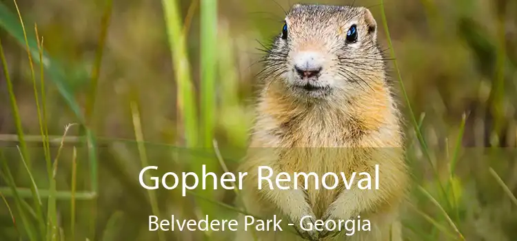 Gopher Removal Belvedere Park - Georgia
