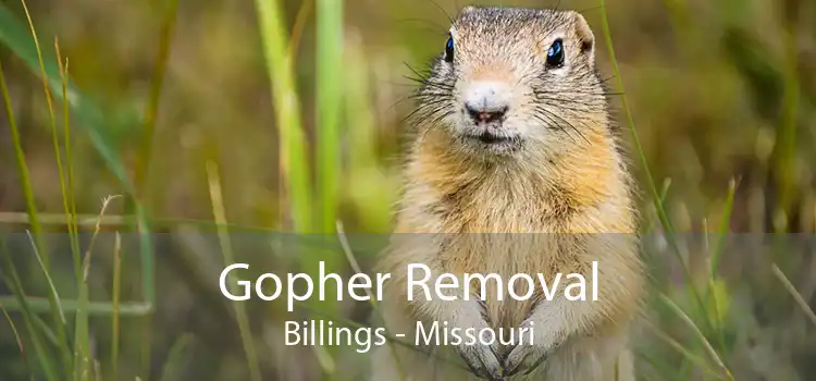 Gopher Removal Billings - Missouri