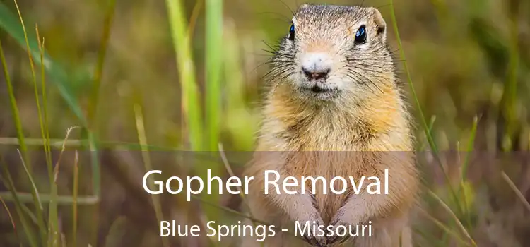 Gopher Removal Blue Springs - Missouri