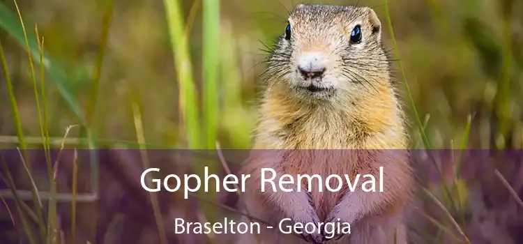 Gopher Removal Braselton - Georgia