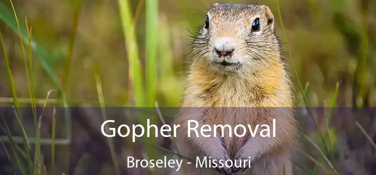 Gopher Removal Broseley - Missouri