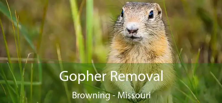 Gopher Removal Browning - Missouri