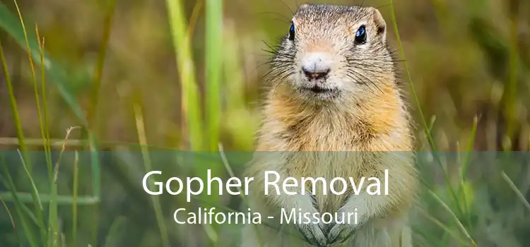 Gopher Removal California - Missouri