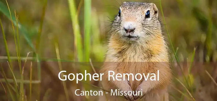 Gopher Removal Canton - Missouri