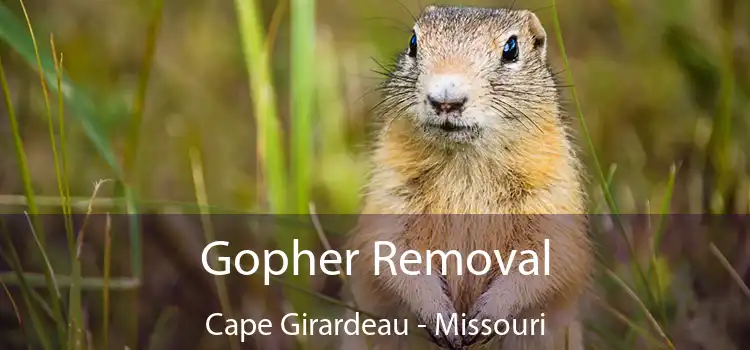 Gopher Removal Cape Girardeau - Missouri