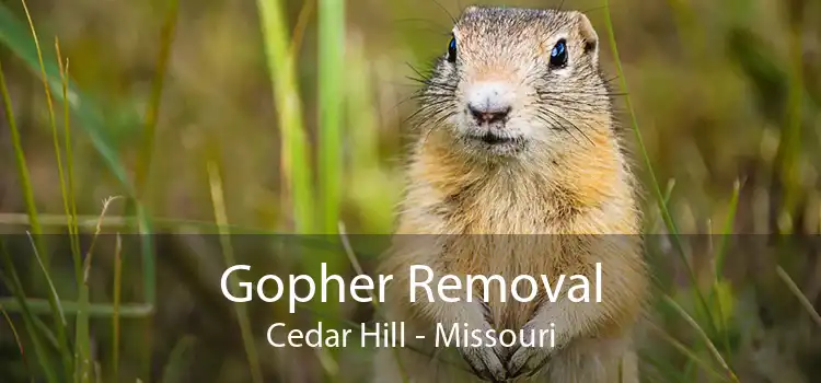 Gopher Removal Cedar Hill - Missouri