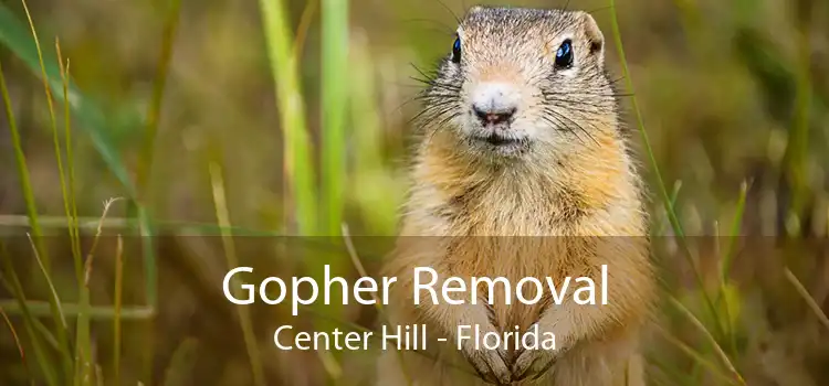 Gopher Removal Center Hill - Florida