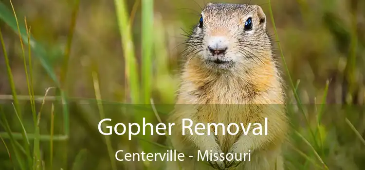 Gopher Removal Centerville - Missouri
