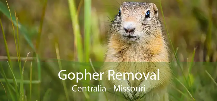 Gopher Removal Centralia - Missouri