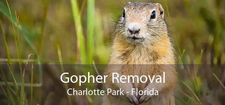 Gopher Removal Charlotte Park - Florida