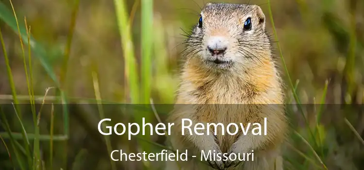 Gopher Removal Chesterfield - Missouri