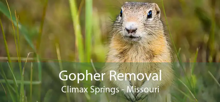 Gopher Removal Climax Springs - Missouri