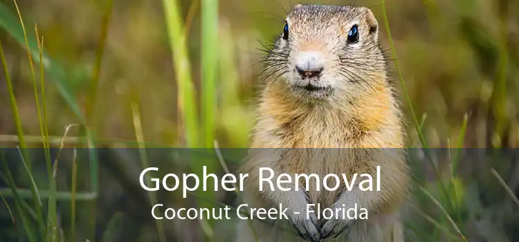 Gopher Removal Coconut Creek - Florida