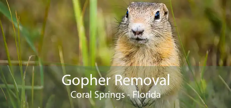 Gopher Removal Coral Springs - Florida