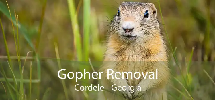 Gopher Removal Cordele - Georgia
