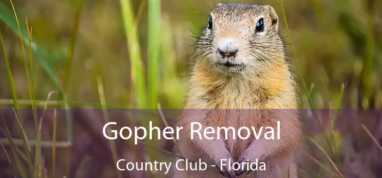 Gopher Removal Country Club - Florida