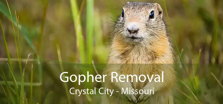 Gopher Removal Crystal City - Missouri