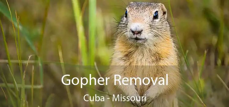 Gopher Removal Cuba - Missouri