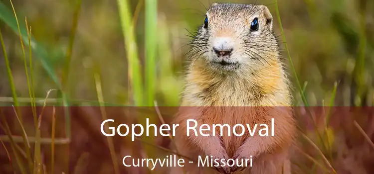 Gopher Removal Curryville - Missouri